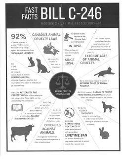 Facts about animal research