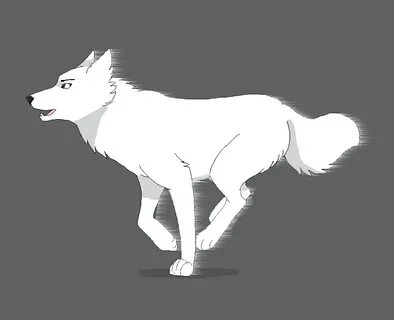 Pictures Of Animated Wolves posted by Samantha Simpson