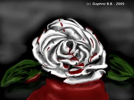 Bloody Rose Wallpapers Wallpapers - Top Free Bloody Rose Wal