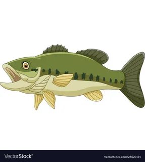 Cartoon bass fish isolated on white background Vector Image