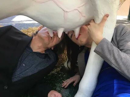 Humanoid Cow Udders Woman