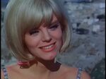 Carol Wayne/"The Trouble with Temple" - Sitcoms Online Photo