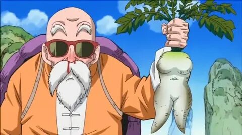 Download Master Roshi Wallpaper Gallery