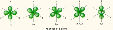 Shapes of Orbitals of an Atom