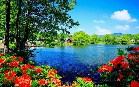 Beautiful Scenery Desktop Wallpapers - Top Free Beautiful Scenery Desktop Backgr