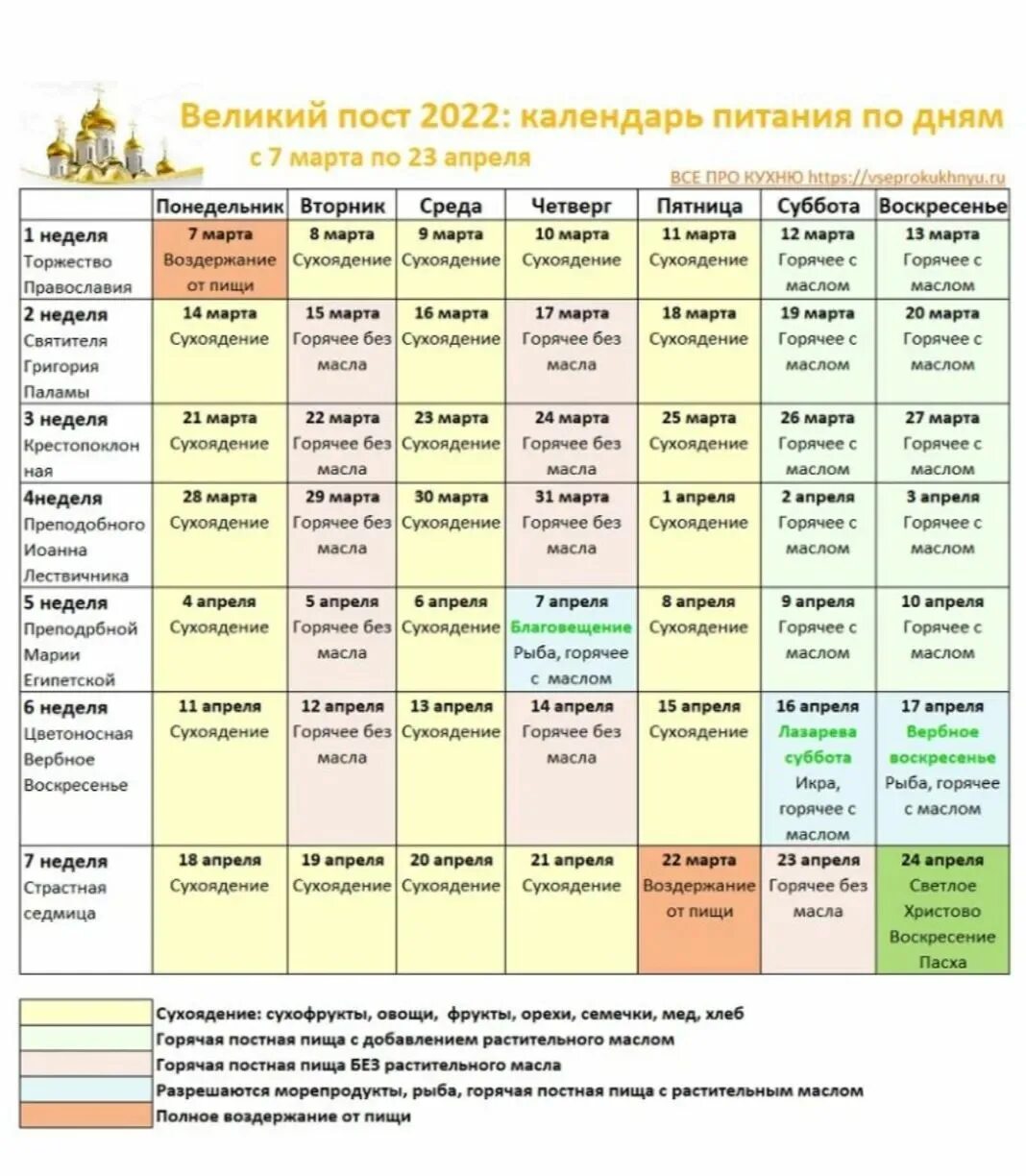 стим как принимать до еды или после еды фото 78