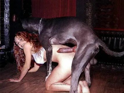 Порно Фото Собаки Трахают Девушек