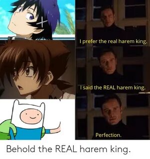 🐣 25+ Best Memes About Harem King Harem King Memes