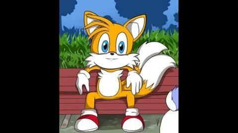 Tails sits on a bench - YouTube