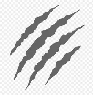 claws grey scratch PNG image with transparent background TOP