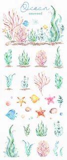 Ocean. Seaweed. Underwater Watercolor Clip Art Water Plants 