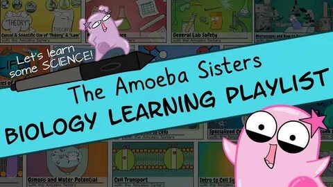 Amoeba Sisters Biology Learning Playlist Introduction - YouT