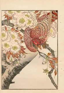 Japanese traditional bird prints