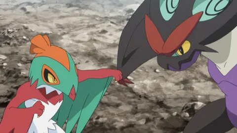 File:Ash Hawlucha Noivern.png - Bulbapedia, the community-dr