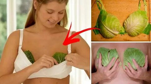 Benefits of Cabbage Leaves for Relief of Engorged Breasts And More! - YouTube