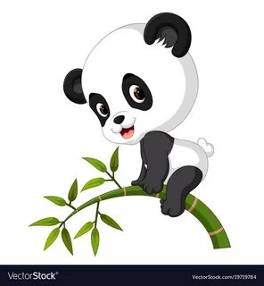 コ レ ク シ ョ ン baby panda pictures of pandas eating bamboo 3271