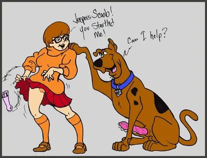 Rule34 - If it exists, there is porn of it / scooby, velma d