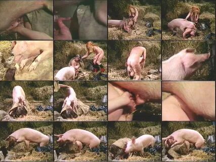 Pig fucks woman - Best adult videos and photos