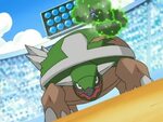 22 Fun And Fascinating Facts About Torterra From Pokemon - T
