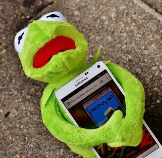 Kermit Frog Smartphone - Free photo on Pixabay