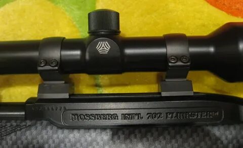 Мелкокалиберная винтовка Mossberg 702 plinkster - Популярное