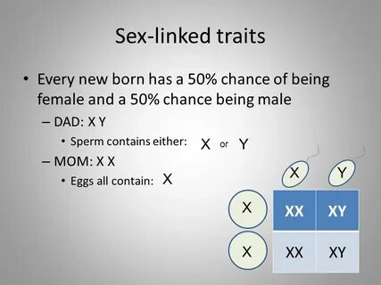 More Punnett squares. - ppt video online download