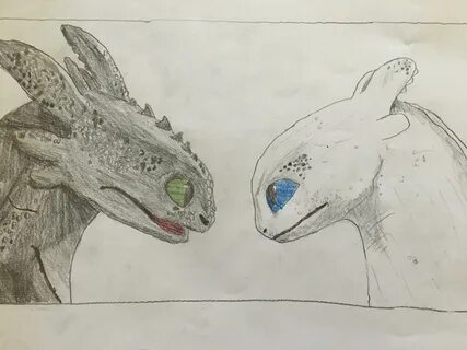 toothless and light fury drawing - Wonvo