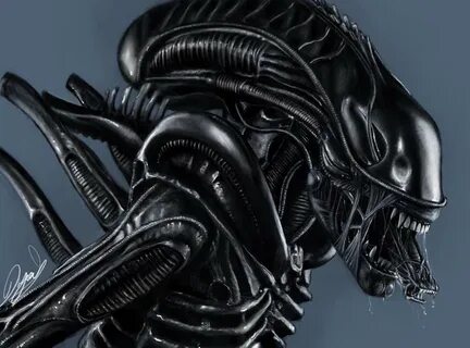 Xenomorph Digital Painting Art Amino