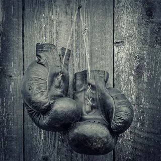 Old boxing gloves Boxing gloves, Gloves, Art