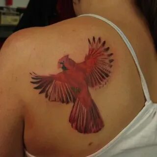 Left Back Shoulder Red Ink Cardinal Tattoo For Girls Cardina
