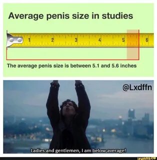 Average penis size in studies Ladies and gentlemen, I am bel