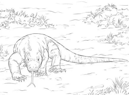 Komodo Dragon Coloring Pages - Free Printable Coloring Pages