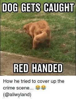 🇲 🇽 25+ Best Memes About Red Handed Red Handed Memes