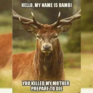 Hunting Meme #hunting #huntingmeme #huntinglife #hunter Hunt