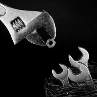 A wrench feeding its young - Awesome Conceptual photography,