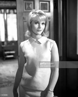 580 Carol Lynley Photos and Premium High Res Pictures - Gett