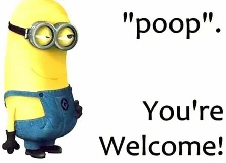 Pin on Minions Memes must read