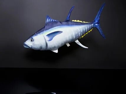 The Atlantic Bluefin Tuna Endangered fish, Bluefin tuna, Blu