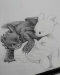 Toothless and the Light Fury. :) Baby dragon art, Dragon dra