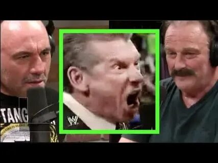 Joe Rogan & Jake The Snake on Vince McMahon - YouTube