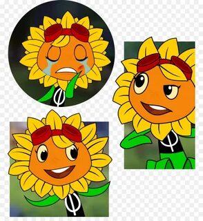 Sunflower Plants Vs Zombies png download - 831*962 - Free Tr