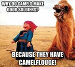 Why do camels make good soldiers? Because they have CAMELflo