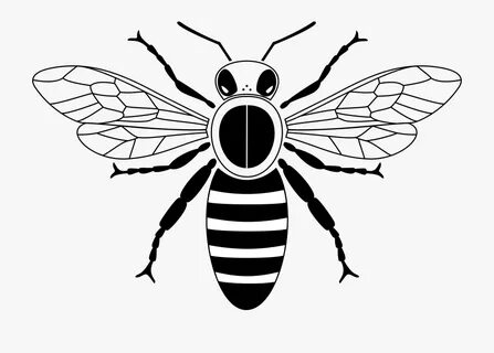 Simple Clipart Bee - Simple Honey Bee Bee Drawing Bee drawin
