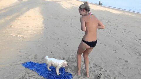 Bikini Fail feat Cute Puppy Why Search