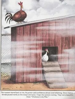 The Far Side. Gary Larson. Chickens in the Mist. The far sid