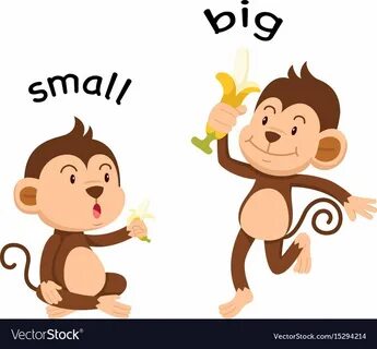 Opposite words small and big vector image on VectorStock in 