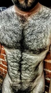 Photo - Offensively hairy muscly men Page 2 LPSG