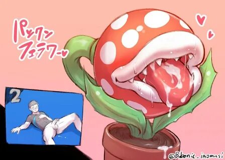 Piranha Plant (@LewdPipePlant) Twitter (@LewdPipePlant) — Twitter