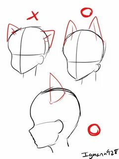 Cat Ears Drawing at PaintingValley.com Explore collection of