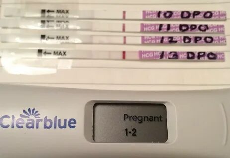 Bfn 13 Dpo With Frer